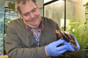 A Red Necked Turtle with the college's ZEC Curator Carl Groombridge