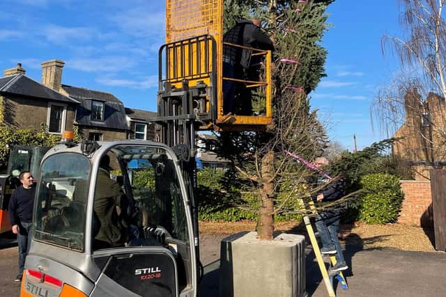 A huge concrete block holds the tree in place. Pic: Dan Jones