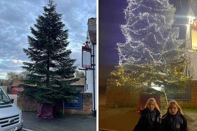 The tree towers over the pub. Right: A sneak preview of the lights as they're testing - with photographer Alex Kite's daughters Francesca (left) and Amelia (right) in the foreground.