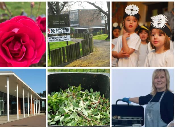 From roses to garden waste, we look at the top stories from the past year