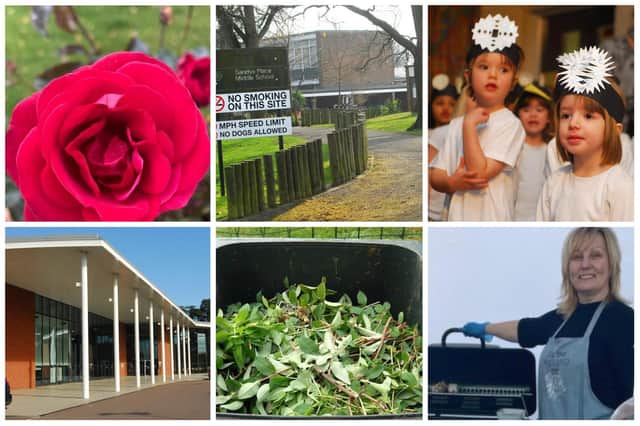 From roses to garden waste, we look at the top stories from the past year
