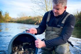 Restocking the River Ivel
