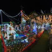 The lights display. Photo: Anne and Paul Nicholas.