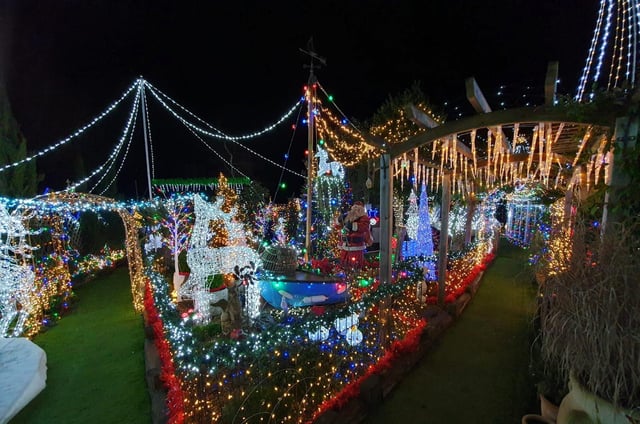 Wilson Botanical Gardens Christmas Lights 2022 Brilliant Broom Christmas Display Featuring 450,000 Decorations Raises  Whopping £10K For Sue Ryder Hospice | Biggleswade Today