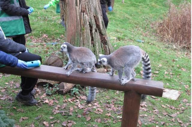 Days out for children are organised by the programme
