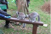 Days out for children are organised by the programme