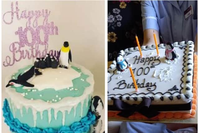 Lucky Florence was gifted two penguin cakes