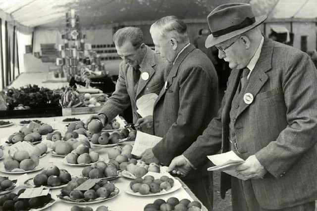 Judging the Fruit 1950. Photo: the estate of George Stevington.