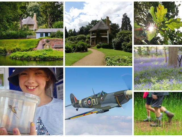 There are lots of events taking place