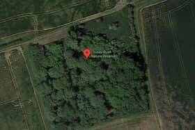 Lousy Bush nature reserve at Wrestlingworth