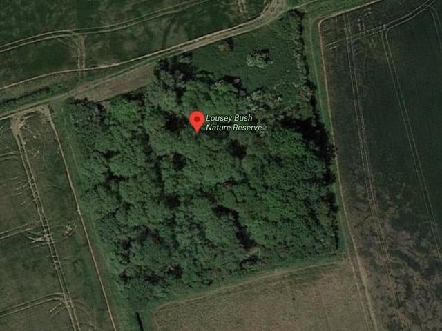 Lousy Bush nature reserve at Wrestlingworth