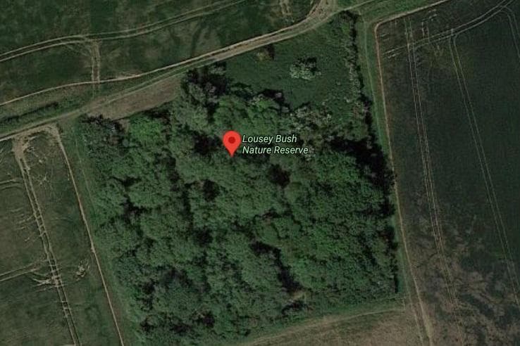 'Magical grotto of loveliness' in Bedfordshire field will officially become a nature reserve 