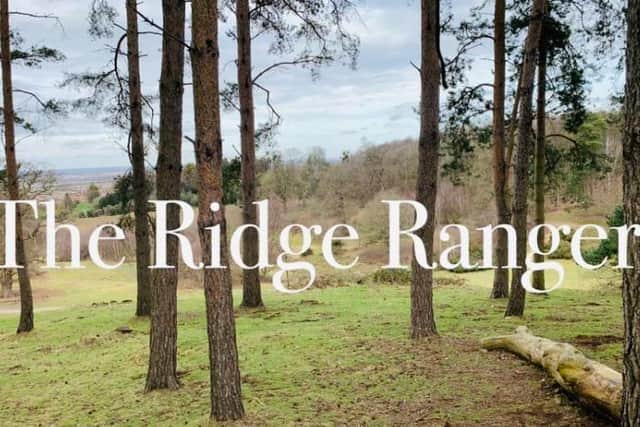 The Ridge Ranger
