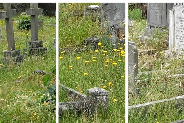 Images of Drove Road Cemetery taken earlier this week. Photos: Carol Clark.