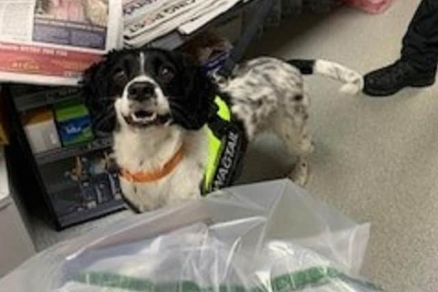 Sniffer dogs have put their noses to good use helping Central Bedfordshire Council’s Trading Standards Team seize illegal tobacco