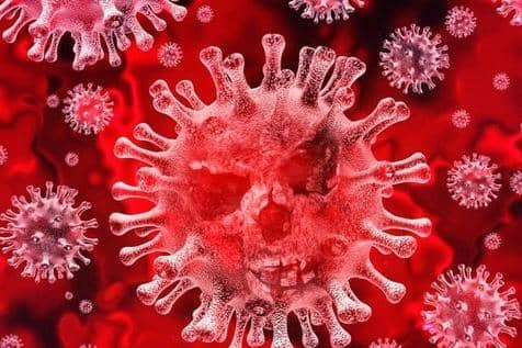 Coronavirus stock image