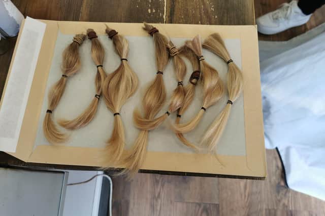 William's long locks are ready to be made into a wig.