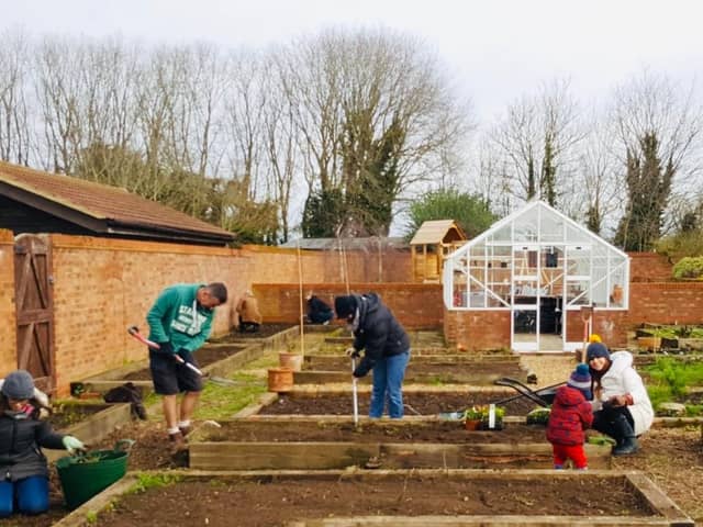 Treewell Community Farm. Photo: Treewell Community Farm.