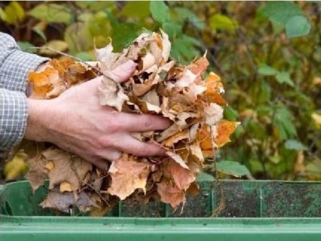 The backlog of garden waste is set to be collected in October