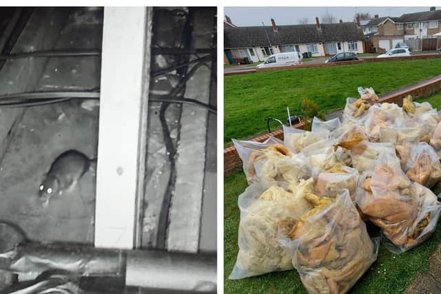 Left: Hasan has put a camera in the loft to capture evidence of the rats. Right: The loft insultation removed by Grand Union Housing Group. Photos: Hasan Ozturk.