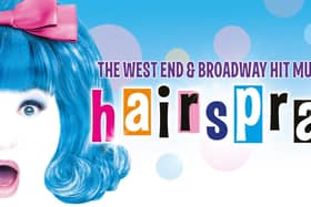 Hairspray the Musical Show Artwork