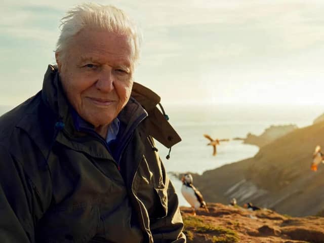 “Scotland is a wonderfully fascinating place for wildlife and nature. It has, in my opinion, some of the most marvellous landscapes and wildlife spectacles you will find anywhere.”