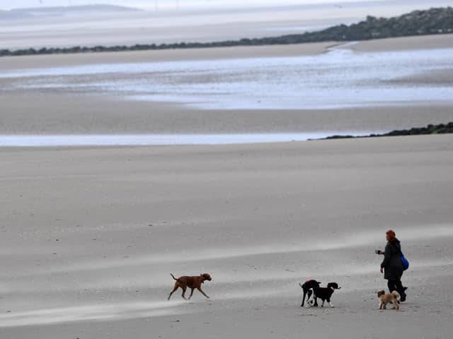 Which beaches made the cut at the Blue Flag awards 2023