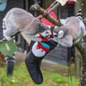 The inquisitive lemurs get stuck into their stockings