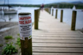 A sign on the shore warns bathers and swimmers about toxic algae in Lake Windermere. (Photo by Christopher Furlong/Getty Images)