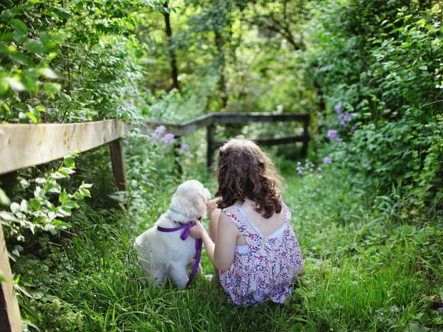 Does your child know how to be safe around dogs? Animal News Agency