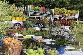 Plant and Produce Sales
