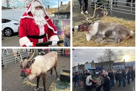 Father Christmas and his reindeer brought festive cheer to Biggleswade. Images: Biggleswade Town Council