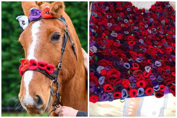 L: Chester with some of the hand-knitted poppies adorning his harness and R: The giant 7ft rug which features hand-knitted poppies. Pictures: Samantha Wenn