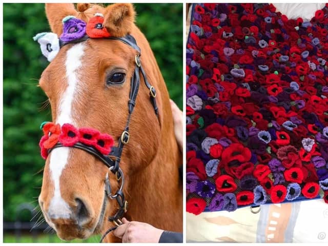L: Chester with some of the hand-knitted poppies adorning his harness and R: The giant 7ft rug which features hand-knitted poppies. Pictures: Samantha Wenn