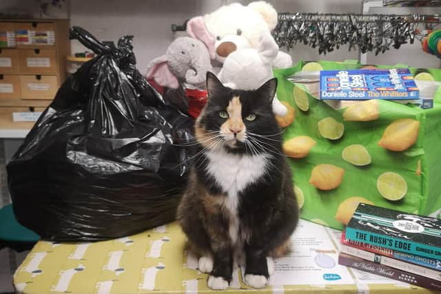 Sue Ryder’s Honorary Retail Volunteer, Bean the Cat, is urging the public to ‘Spring Clean’ and donate to help the charity fund its expert end-of-life care and grief support.