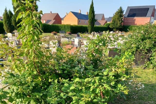Stratton Way Cemetery. Images: David Lincoln.