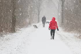 Many dogs still love the chance to go out on adventures during the colder months (photo: Adobe)