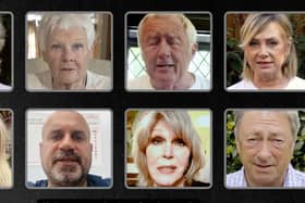 A host of A-list stars have taken part in the Christmas appeal video - Animal News Agency