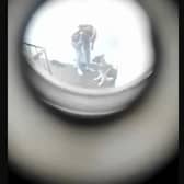 Distressing video shows a Husky being abused by two men, which has led to both receiving a lifetime ban on keeping dogs by the RSPCA.