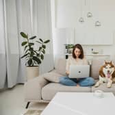 Grainger has many pet-friendly properties across the UK