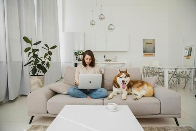 Grainger has many pet-friendly properties across the UK