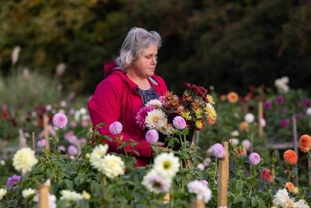 Peta grows her flowers locally on a patch in Biggleswade. © Anna Lukala