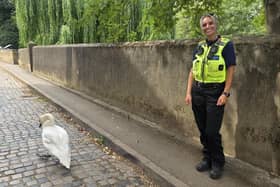 Biggleswade Community Policing Team with the swan