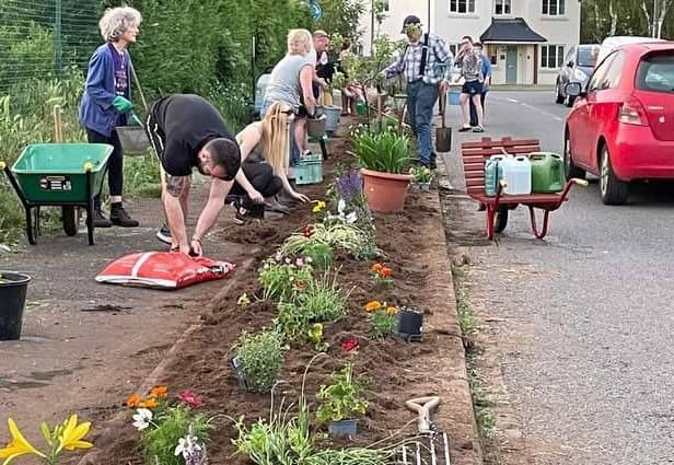 The community garden