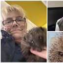 Sue Wood and some of the animals she is caring for