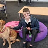 Milo the wellbeing dog with a student