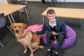 Milo the wellbeing dog with a student