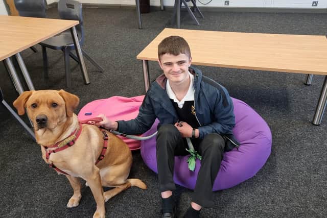 Milo the wellbeing dog with a student