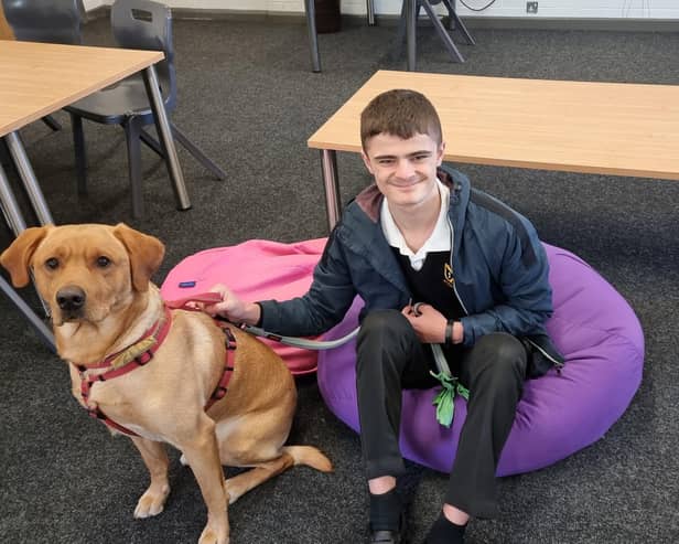 Milo the wellbeing dog with a student