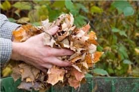 There will be the usual pause in garden waste collection from December 4 - February 23 but residents can dispose of garden waste at any of the four council Household Waste Recycling Centres. All other waste collections will continue as normal.